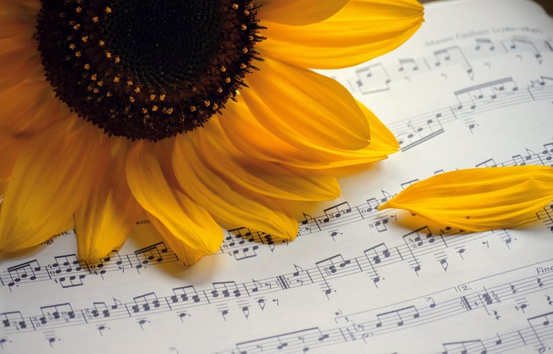 Concert Alerts
